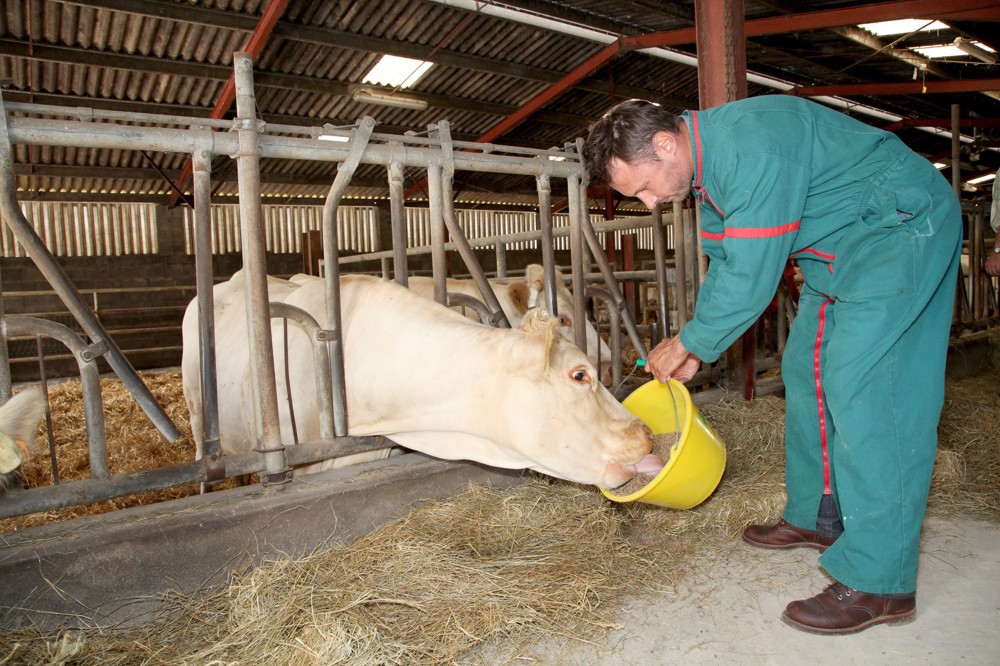 MPS | Multi Professional Solutions - agricultura-in-vremea-coronavirusului-2